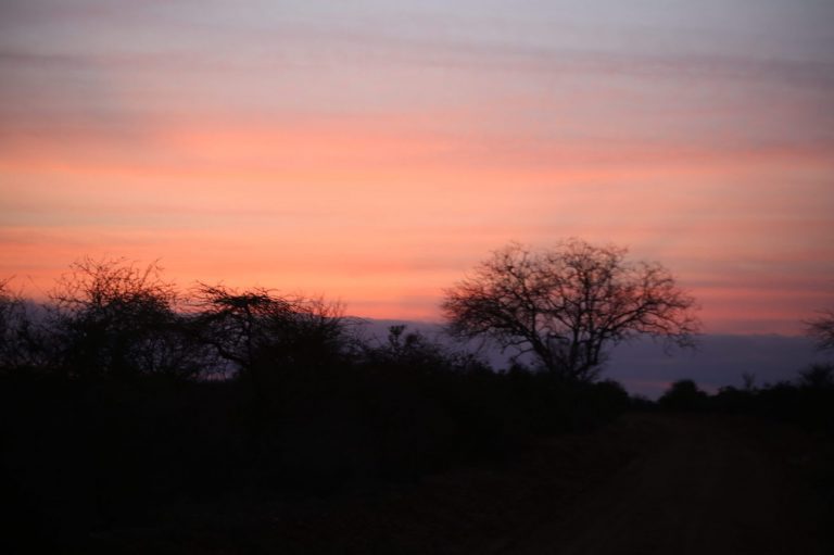 Kenia-Reisebericht-Nadine-Hiden-Have-big-dreams61